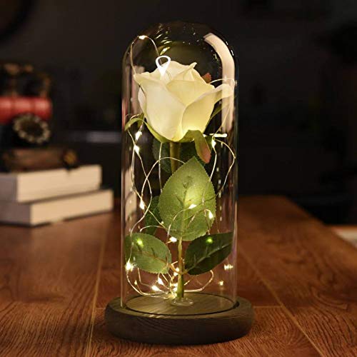 Beauty And The Beast Artificial White Silk Rose In Glass Dome Preserved Flowers Led Light With Petals On A Wooden Base Creative Diy Gift For Valentine S Day Anniversary Wedding Birthday White Buy Online Beauty And The Beast Artificial White Silk Rose In Glass Dome Preserved Flowers Led Light With Petals On A Wooden Base Creative Diy Gift For Valentine S Day Anniversary Wedding Birthday White Buy Online