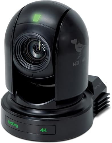 BirdDog P400 4K 10-Bit Full NDI Camera, Black
