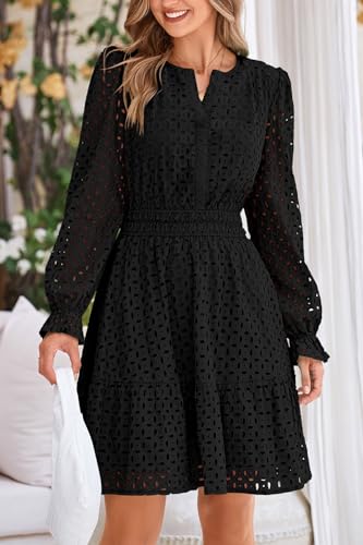 PRETTYGARDEN Women's 2025 Long Sleeve Mini Dress Eyelet V Neck A Line Casual Elegant Holiday Wedding Guest Party Dresses2