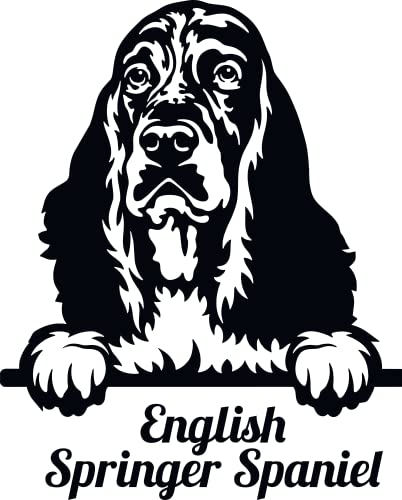 SEC Apparel English Springer Spaniel Iron On Patches Decals Transfers Applique Letters for t Shirts