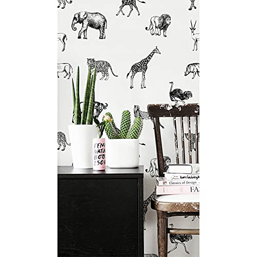 Coloray Fotomurale 250x104 cm Con Foto Entretela Pegatina Decorativo Fotomurale Fondo de Pantalla - Utensilios de safari animales elefante jirafa África salvaje