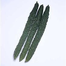 Cucumber Seeds - Palace Pride - Hybrid - 500 Mg Packet 20 Seeds - Non-GMO, F1 Hybrid - Asian Garden Vegetable