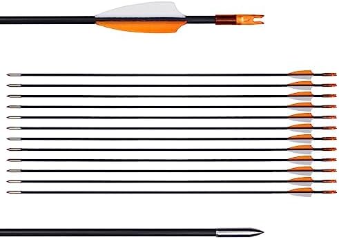 LWANO 31″ Training Arrows-Archery Practice Target Arrows for Kids Youth or Beginners with Durable Shaft on Recurve Bow Compound Bow and Longbow LWANO 31″ Training Arrows-Archery Practice Target Arrows for Kids Youth or Beginners with Durable Shaft on Recurve Bow Compound Bow and Longbow
