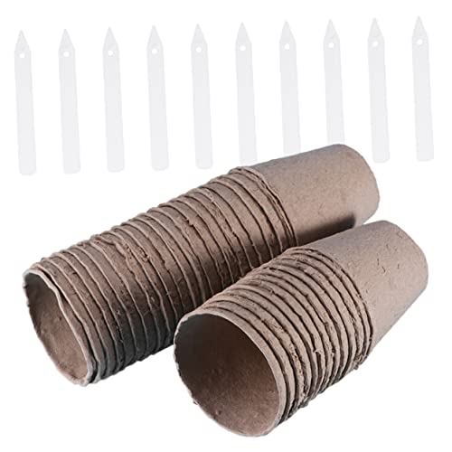 Toddmomy 40pezzi Bicchieri Polpa Per Germinazione Piante Bicchieri Partenza Per Forniture Per Semina Vegetale
