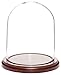 Produktbild PlyMor Glas Puppe Dome mit Walnuss Boden 11,4 x 15,2 cm
