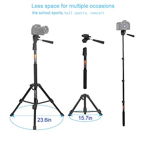 Tripod for Camera and Phone Monopod with Remote Action Camera Mount Adapter Small Flexible Travel Selfi Stick Tripod Stand Aluminum for DSLR Projector Camcorder, iPhone Android Phone by BESNFOTO
