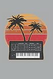  Analog Synthesizer Retrowave Vintage 70s Sunset Synth: Funny Synthesizer Notebook / Journal  120 Pages  Dot Grid Paper  6x9 Inches  Matte