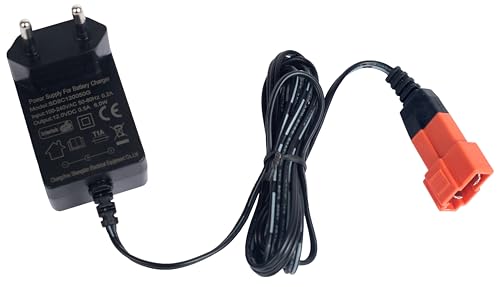 12V Ladegerät für Kinder Elektrofahrzeuge, 12 Volt Batterieladegerät Kompatibel mit Kid Trax Disney Frozen Mickey Minnie Mouse, Audi R8, Moto ATV und Mehr Spielzeugautos - Quadratischer Stecker