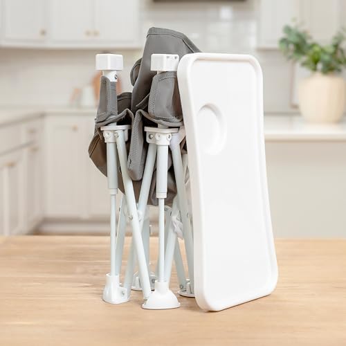 Regalo My Chair 2-in-1 Booster Seat