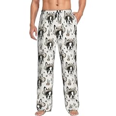 Cute Western Boston Terrier