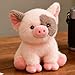 peluche Cerdo Pequeño Rosa Imagen de peluche Cerdo Pequeño Rosa