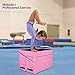 Matladin Gymnastics Mat, Folding Tumbling Wedge for Kids - Purple & Pink, 32.7 in x 23.6 in