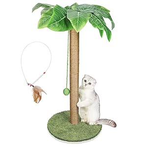 HEVOL Poste Rascador para Gatos, 85 cm de Altura, Cuerda de Sisal Natural, Árbol Rascador para Gatos con Bolas Colgantes, Árbol Trepador para Gatos, Entrega de Plumas para Gatos, Color Verde