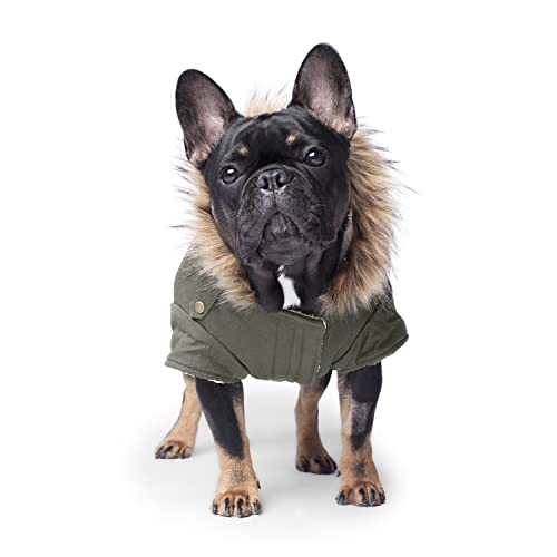 Canada-Pooch-Winter-Dog-Coat-Water-Resistant-Insulated-Dog-Jacket-Faux-Fur-Trim-Dog-Parka-Coat-for-Dogs-Army-Green-Size-24 - Cucciolini Doodles   Canada-Pooch-Winter-Dog-Coat-Water-Resistant-Insulated-Dog-Jacket-Faux-Fur-Trim-Dog-Parka-Coat-for-Dogs-Army-Green-Size-24