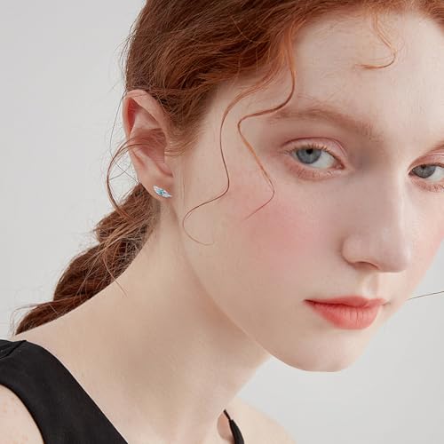 Turquoise Stud Earrings 925 Sterling Silver Feather Earrings Indigenous Jewelry Native American Gifts for Women3