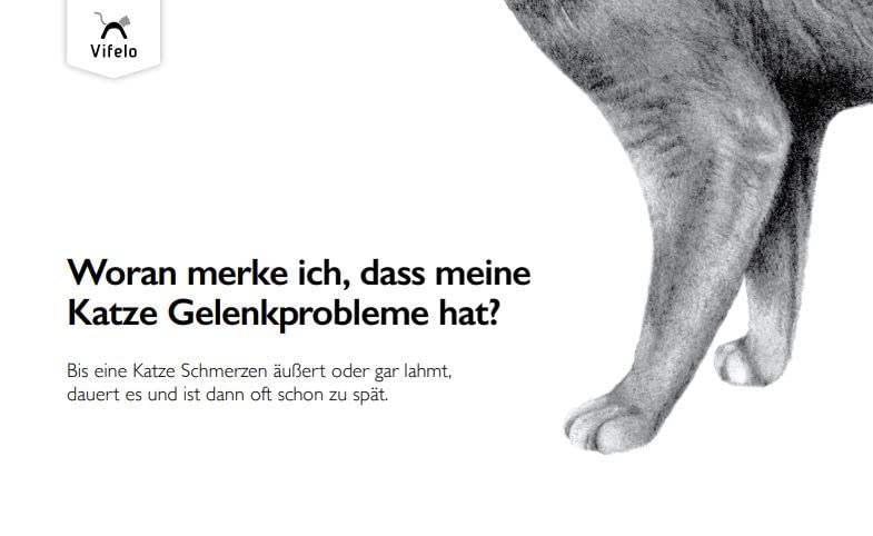 VetVital Vifelo OrthoHyl Miekaus | 60 Tabs | Ergänzungsfuttermittel für Katzen | Mit Hyaluronsäure