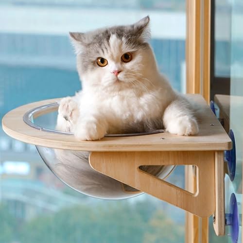 Hamaca de ventana para gatos con cueva de burbuja acrílica resistente 4