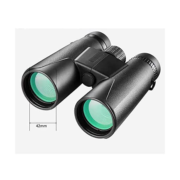 10x42 Fernglas FüR Erwachsene Hd FerngläSer FüR Wandern Jagen Vogelbeobachtung Und Mehr – Bild 4