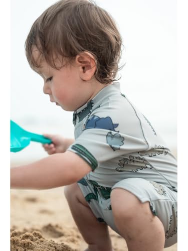 Image of Boys One Piece Swimsuit Whale Dolphin Bathing Suit Zipper Rash Guard Kid Short Sleeve Swimwear Shark Beach Wear UPF50+