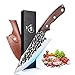 DRAGON RIOT Kochmesser Japanisch Wikinger Messer Handgeschmiedet Chefmesser Profi Küchenmesser Scharf Grillmesser Outdoor Messer mit Scheide für Küche Camping Grill BBQ