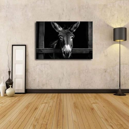 Affiche âne drôle toile noir blanc pour mur vide salon chambre - 2