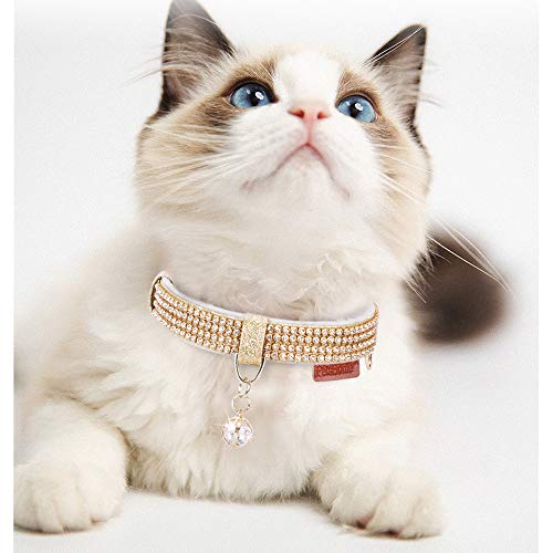 Image of Cat Collar, Dog Collar, [Bling Rhinestones] Adjustable Collars for Small Dog and Cat Small Gold