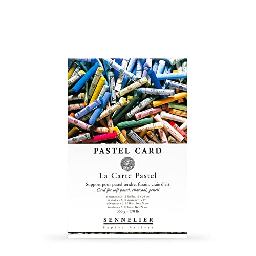 Sennelier - Tarjeta de Pastel - 16 x 24 cm - 12 Hojas - 6 Colores x 2 Cover