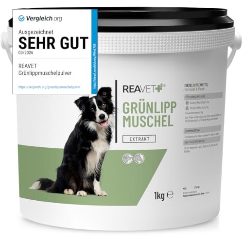 TESTURTEIL SEHR GUT 2026 ReaVET Grünlippmuschel Extrakt Pulver 1kg für Hunde & Pferde I Grünlippmuschelpulver Hund hochdosiert I nach behandelter Arthrose Arthritis - Barf Futterzusatz