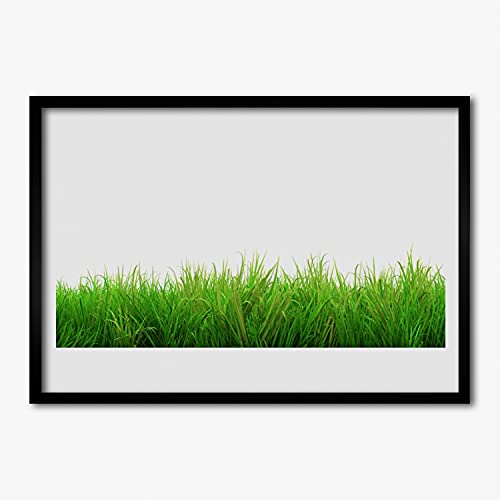 Murale affiche avec cadre salon et chambre decor nature plante herbe 100x70