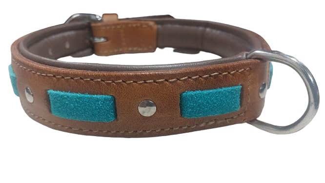Dog Collar Belts Genuine Eco Leather Small Medium Size Dog Patta Neck Size 42X52 Width 1 Inch,Brown (B0CHBSC6YK) Amazon Price History, Amazon Price Tracker