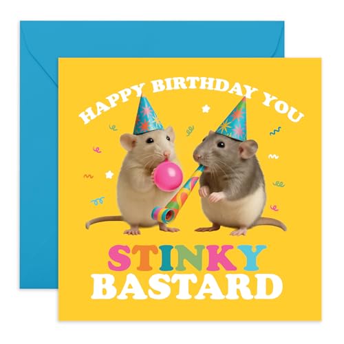 Funny Rato[Xf[J[h ? uHappy Birthday You Stinky B*stardv ? FlAZAZAoA{[CthAK[thAҁAȁAvAށAޏ̂߂̖ʔJ[h - XebJ[t