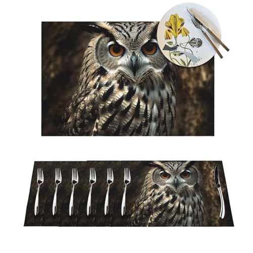 Set de table vinyle hibou isolant thermique et lavable pour table de salle