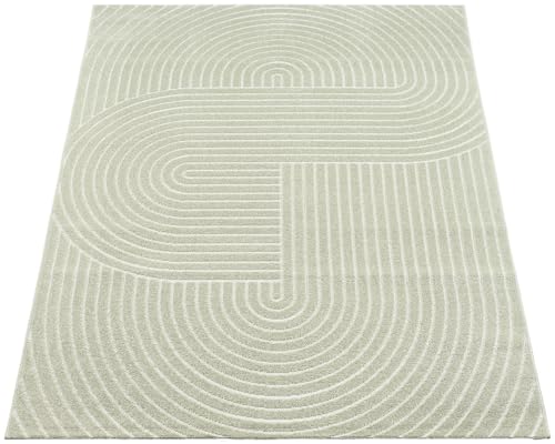 the carpet Santo Plus - Teppich für Wohnzimmer & Schlafzimmer, Hochwertig, Pflegeleicht & Langlebig, Modernes Design, auch für Outdoor geeignet, Grün, 120 x 160 cm