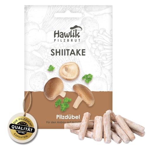 Hawlik Pilzbrut - Shiitake Pilze auf Holz & Baumstämmen züchten - frische Pilze einfach züchten - 20 Pilzdübel mit Mycel für die Zucht auf Holz