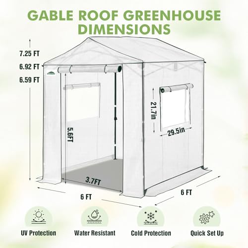 Image of EAGLE PEAK 6x6 Pop Up Walk in Greenhouse, Easy Setup, Gable Roof, White