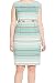 Calvin Klein Women's Plus-Size Belted Striped Sheath Dress
