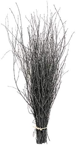 Decorative Coloured Birch Twigs and Branches - Dark Grey with Silver Glitter-25 stems-90cm's