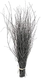 Decorative Coloured Birch Twigs and Branches - Dark Grey with Silver Glitter-25 stems-90cm's