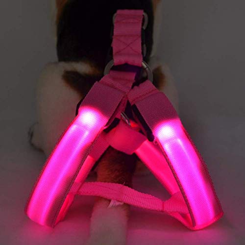 Wishdeal, pettorina per cani a LED, per animali domestici, per passeggiate, per cani di taglia piccola, media, grande, a batteria, luce (M, rosa)