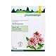 Schoenenberger - Echinacea naturreiner Heilpflanzensaft - 3x 200 ml Glasflasche - stärkt die Abwehrkräfte - freiverkäufliches Arzneimittel
