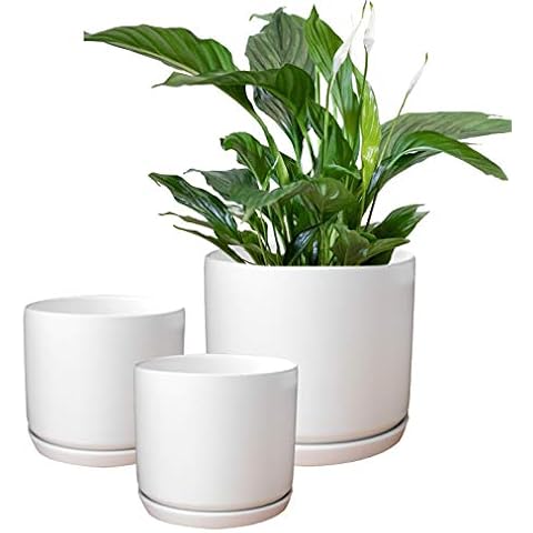 Matt Weiß Keramik Blumentöpfe Garten Pflanzgefäße Set 3 Cover