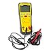 UEi IRT803 Insulation Resistance Tester 600V AC/DC, Megohmmeter Measures Insulation Resistance Up to 20GΩ, Voltage Testing Up to 600V