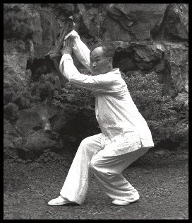 Xing Yi and Cha Style Kung Fu