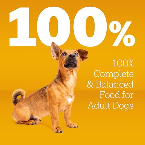 Image of Pedigree Small Dogs Dry Dog Food, Roasted Chicken and Vegetable, 14 lb | 36 vitamins, minerals & amino acids, Omega-6 & Zinc for skin and coat, natural fibers for digestion, supports immune health