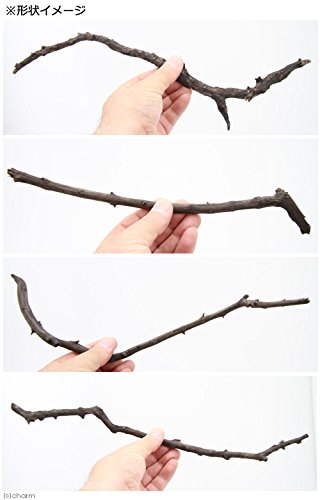 チャーム『スティック流木』