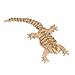 JEKCA Bearded Dragon 01S