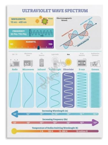 EM Wave Structure Poster Educational Wall Reference | Fade resistant ink preserves technical details for long term use(Framed,16