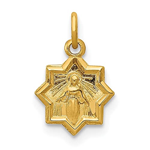 14k Yellow Gold Blessed Mary Necklace Charm Pendant Religious Medal Fine Jewelry For Women Gifts For Her