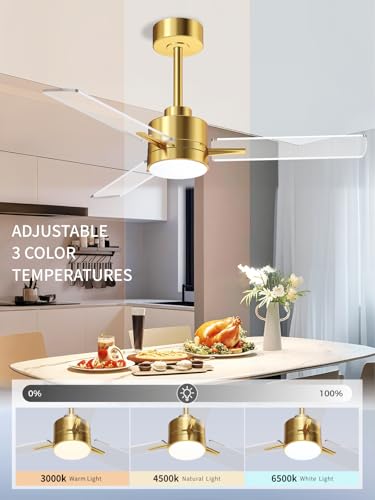 Image of LANMEL 42 Inch Metal Ceiling Fan with Light, Modern Flush Mount Low Profile with Remote Control, Reversible, 3cct Dimmable, Quiet, Gold Transp LED for Bedroom, Living Room, Indoor /Outdoor Patio Use