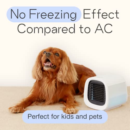 Image of Evapolar evaCHILL Personal Evaporative Air Cooler and Humidifier, Portable Air Conditioner, Desktop Cooling Fan, Ocean Blue